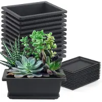 Merkloos Set di 12 vasi per la coltivazione di bonsai, completi di sottovaso