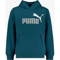 Puma Felpa Con Cappuccio Essential 2 Color Nº1 Logo