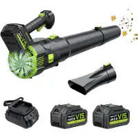 LTPRTZ Accu Bladblazer - Utensili elettrici - Cura del giardino - Motore brushless - 750 m³/h - Nero