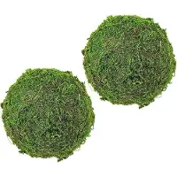 WAN Palline di muschio artificiale - palle decorative verde - decorazione giardino - trattato naturale - 10 x 10 x 10 cm - verde