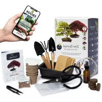 LTPRTZ Kit per la coltivazione di bonsai - Piante naturali - Cura delle piante - Manutenzione completa - 470 g - Verde