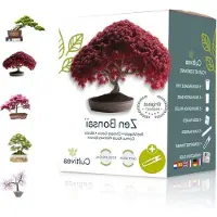 LTPRTZ Kit per la coltivazione di bonsai - Alberi in miniatura - Giardinaggio fai-da-te - Kit ecologico completo - 15 x 13 x 9 cm - Non applicabile.