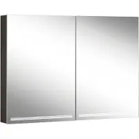 Schneider GRACE TW Armoire de toilette avec éclairage, 2 portes 50/50cm, 995x120x700mm, intensité lumineuse variable, 2000-6500K, 116.500.02.44, 116.500.02.44