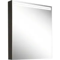 Schneider ARANGA TW Armoire de toilette avec éclairage, 1 porte avec charnières à droite, 595x120x700mm, bandeaux lumineux en haut, 160.462.02.44, 160.462.02.44