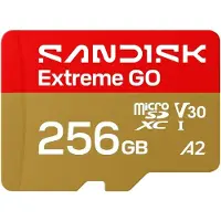 SanDisk Scheda Di Memoria Extreme Go 256gb