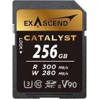 EXASCEND Scheda Di Memoria Sd Uhs-ii V90 Catalyst 256gb