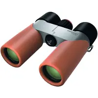 Swarovski CL Companion 8x30 Binocolo – Arancione Deserto