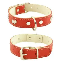 Youpet Collare Per Cani Mountain Westy 70x3.5 Cm