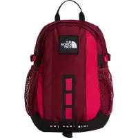 The North Face Zaino Hot Shot Mini 12l