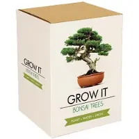 Merkloos Set bonsai - Kit per coltivare bonsai - Set regalo - 12,6 x 9,7 x 16,7 cm - Per interno ed esterno