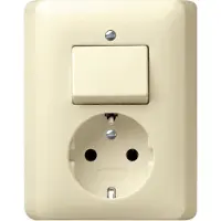 Gira 017601 Combinazione SCHUKO a doppio interruttore standard 55 bianco crema