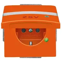 Busch-Jaeger 20 EUGKBLN-14-101 Inserto per presa SCHUKO, con coperchio ribaltabile, campo di etichettatura e spia di controllo a LED arancione RAL 2004