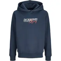 Jack & Jones Kids Junior Felpa 'JJJade' blu scuro / mirtillo / bianco