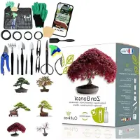 LTPRTZ Kit bonsai mini - Alberi in miniatura - Da coltivare da soli - Set completo di strumenti - 32 pezzi - Verde