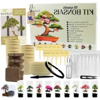 LTPRTZ Kit per la coltivazione di bonsai - Alberi in miniatura - Coltivazione di piante - 10 specie rare - 10 set - Prodotto naturale