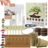 WAN Kit per principianti di bonsai - Set per mini giardino - Coltiva le tue piante da seme - 6 diversi tipi di semi - 18 x 16 cm