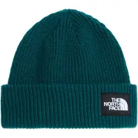 The North Face Salty Lined Beanie Berretto Uomo (One Size, blu)