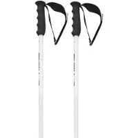 Head Bastoncini Worldcup Sl