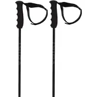 Völkl Bastoncini Speedstick