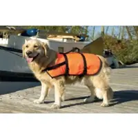 Beeztees Giacca Per Cani Safety &amp; Swim
